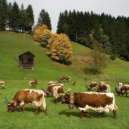 Sonnblick In *
